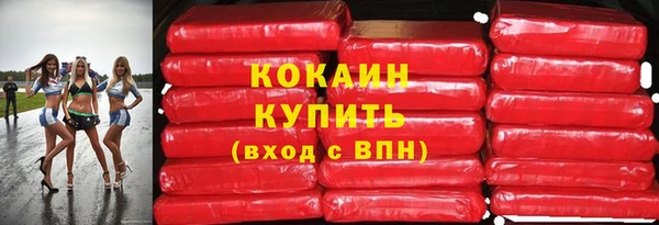 молекула духа Арсеньев