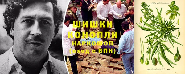 прущие крисы Новодвинск